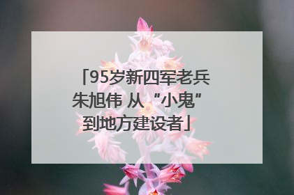 95岁新四军老兵朱旭伟 从“小鬼”到地方建设者