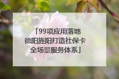 99项应用落地 德阳旌阳打造社保卡全场景服务体系