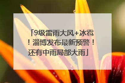 9级雷雨大风+冰雹！淄博发布最新预警！还有中雨局部大雨