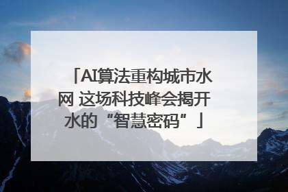 AI算法重构城市水网 这场科技峰会揭开水的“智慧密码”