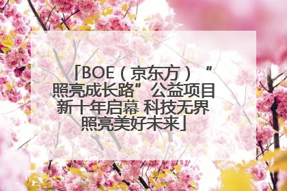BOE（京东方）“照亮成长路”公益项目新十年启幕 科技无界照亮美好未来