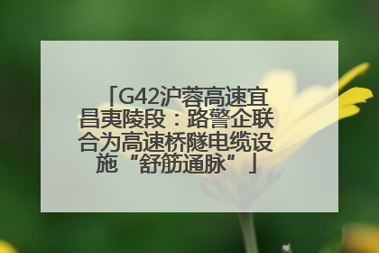G42沪蓉高速宜昌夷陵段：路警企联合为高速桥隧电缆设施“舒筋通脉”