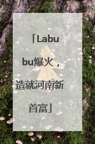 Labubu爆火，造就河南新首富