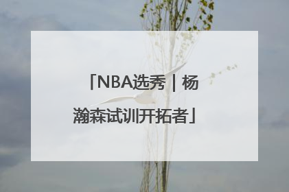 NBA选秀｜杨瀚森试训开拓者