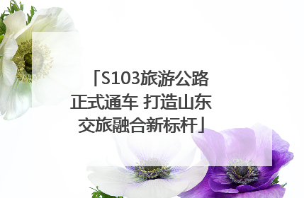 S103旅游公路正式通车 打造山东交旅融合新标杆